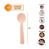 Disposable Small Wooden Mini Spoon – (Pack of 110) 3.9-inch Set Eco-Friendly Tasting Spoons Biodegradable Cutlery Compostable Dessert Utensils for Eating Party Supplies - Better Than Bamboo Palm Leaf