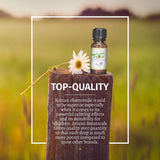 Roman Chamomile Essential Oil Ultra-Premium 100% Pure Therapeutic Grade - 10ml By Avíano Botanicals