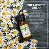 Roman Chamomile Essential Oil Ultra-Premium 100% Pure Therapeutic Grade - 10ml By Avíano Botanicals